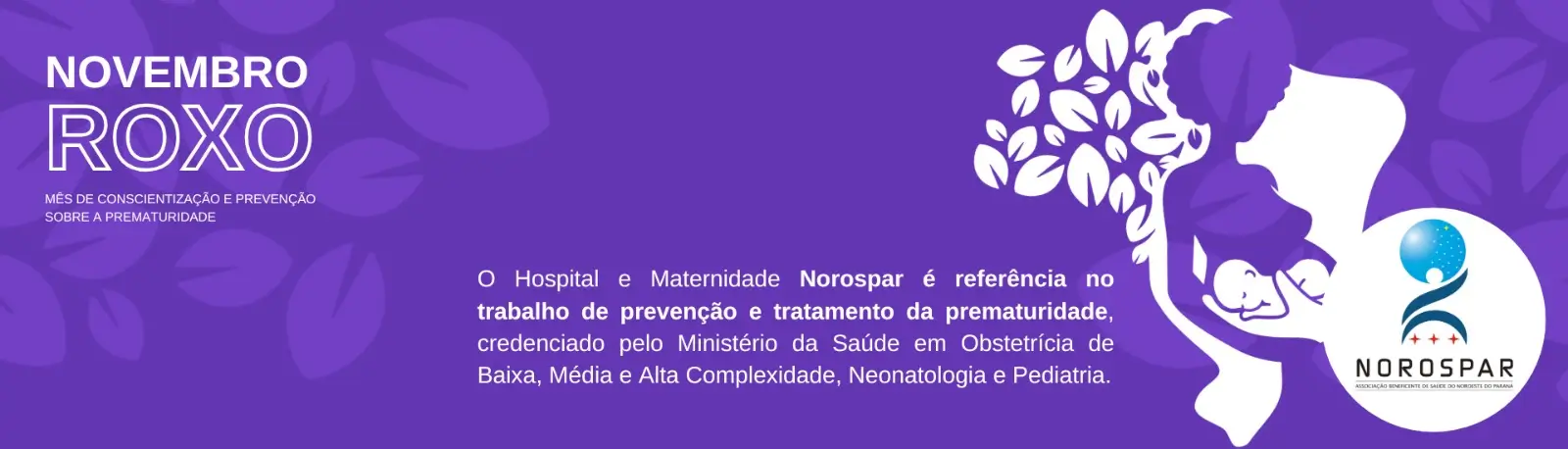 NOVEMBRO ROXO 2024